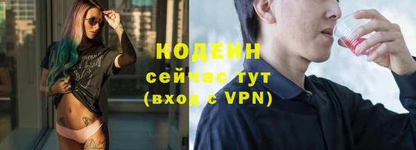 хмурый Михайловск