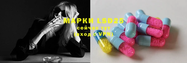 стаф Михайлов