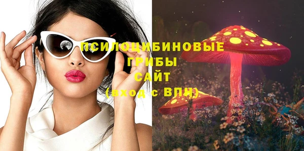 сатива Михайловка