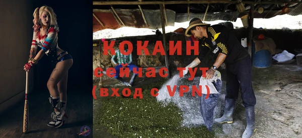 хмурый Михайловск