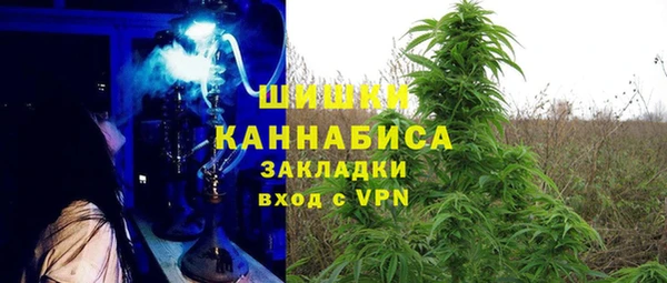 сатива Михайловка