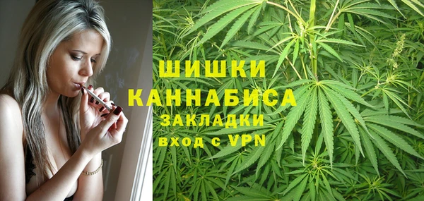 стаф Михайлов