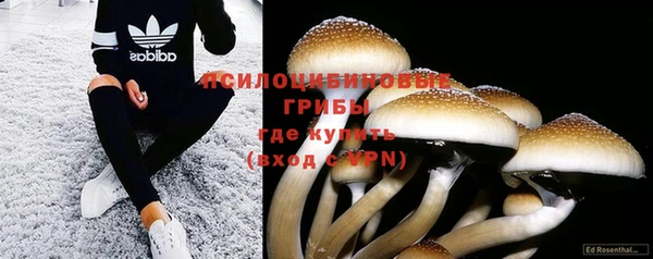 сатива Михайловка