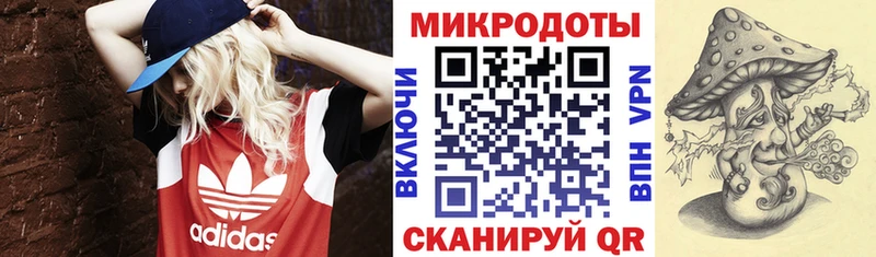 Галлюциногенные грибы мицелий  где купить наркотик  Данилов 