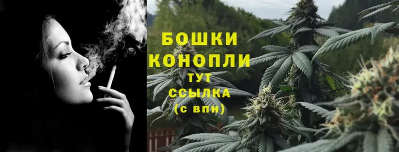 Конопля Ganja  Данилов 