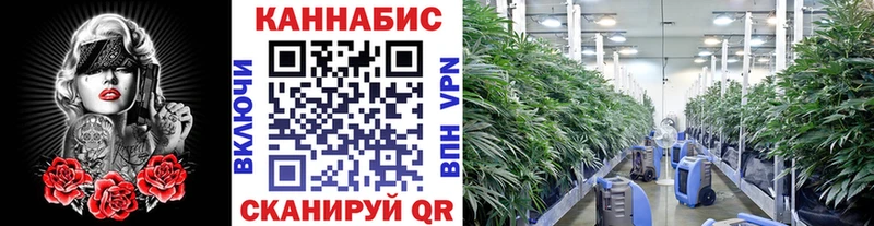 хочу наркоту  omg онион  Каннабис ГИДРОПОН  Данилов 